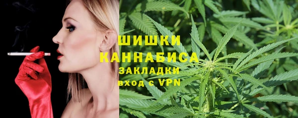 СК Сосновый Бор